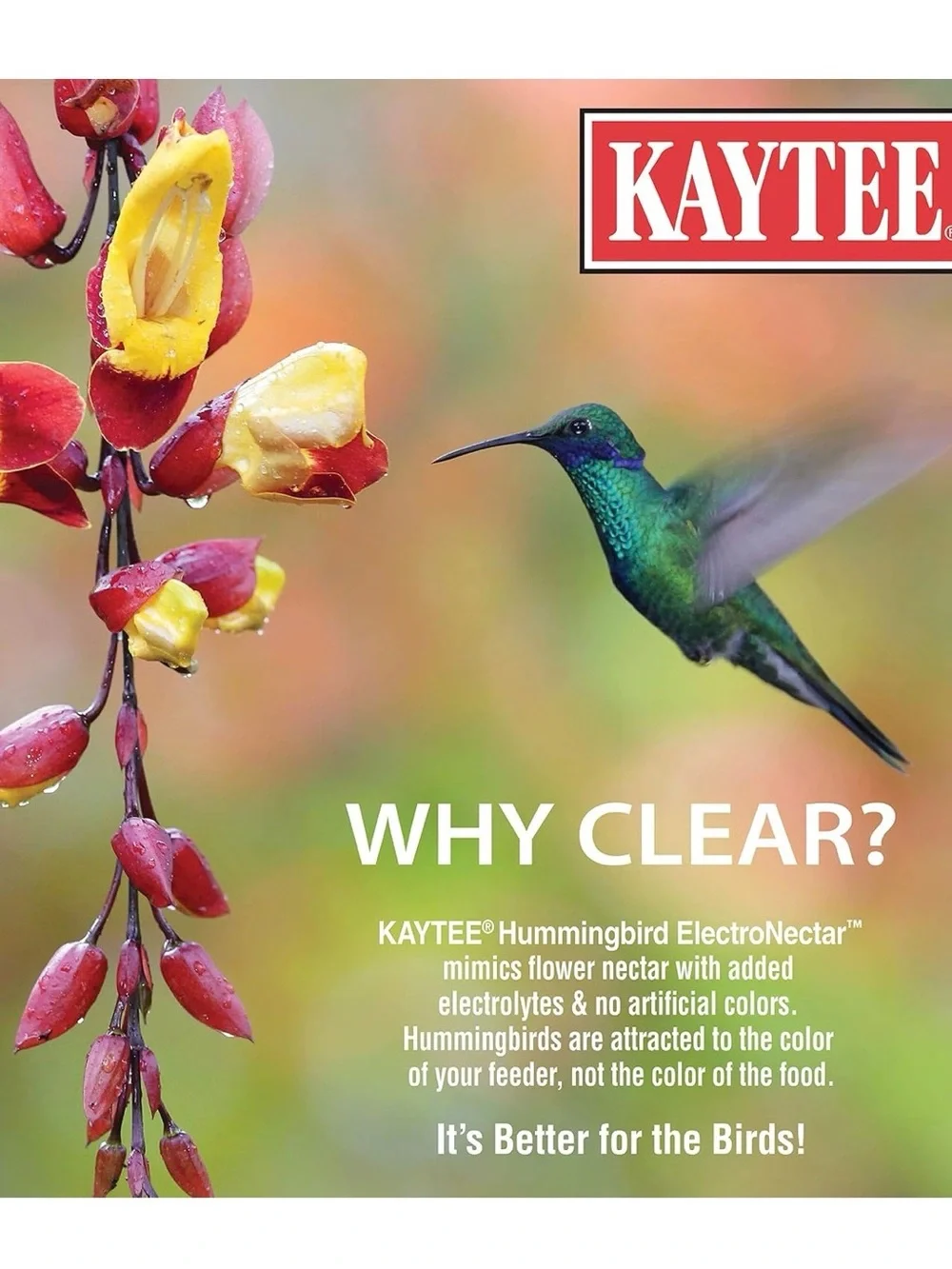 Kaytee Clear ElectroNectar Hummingbird Nectar Bottle